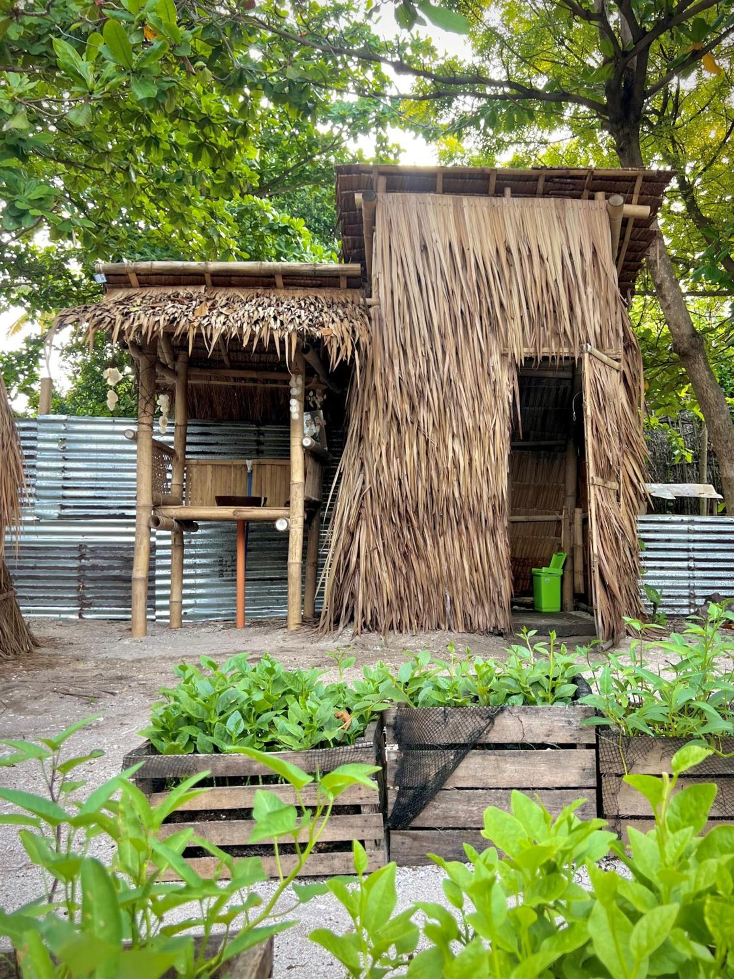 Tribal Huts Community Hostel Daanbantayan Bilik gambar