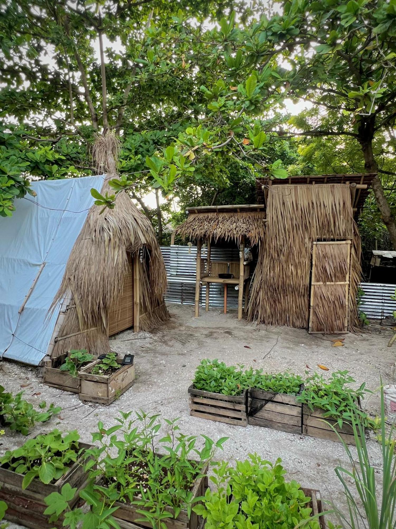 Tribal Huts Community Hostel Daanbantayan Luaran gambar