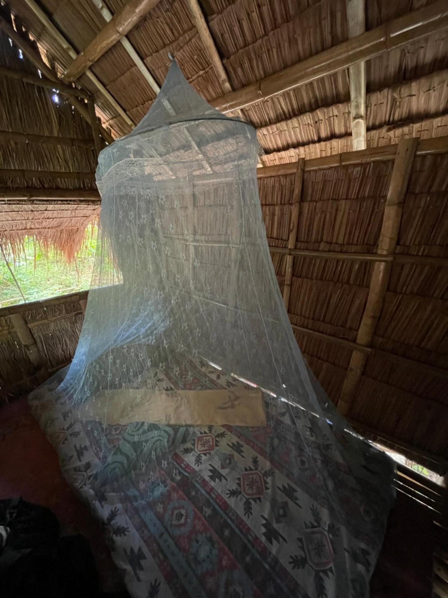 Tribal Huts Community Hostel Daanbantayan Bilik gambar